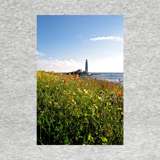 Wild Flowers at St Mary's Island by Violaman